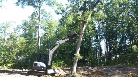 how to knoiw over big trees with a mini excavator|excavator and bucket tree removal.